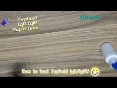 ชุดทดสอบไทฟอยด์อย่างรวดเร็ว 15 นาที Feces Serum Plasma Example Salmonella Typhi Antigen Test